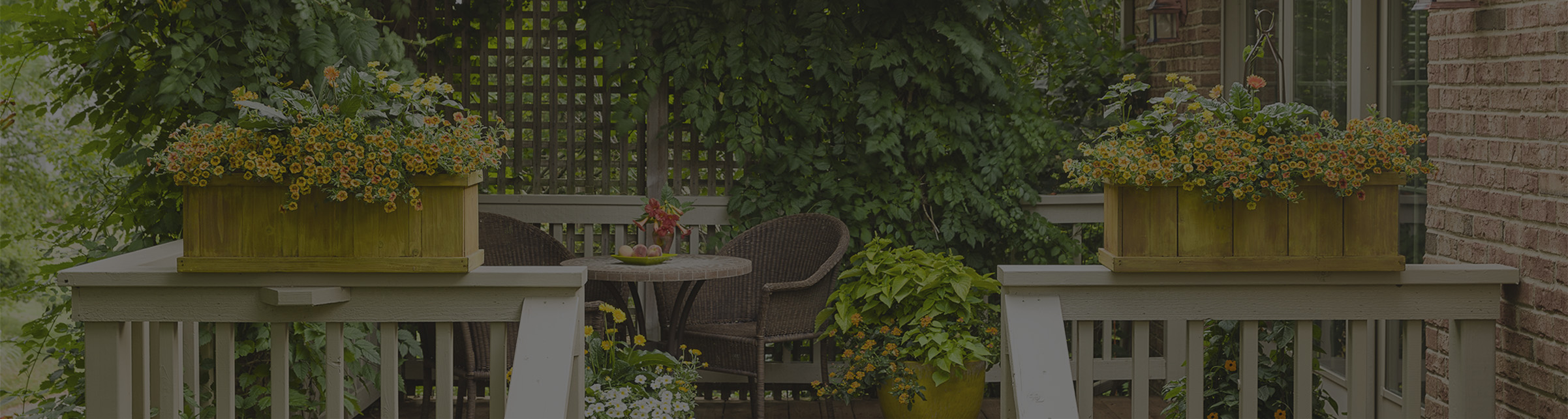 garden with two red chairs