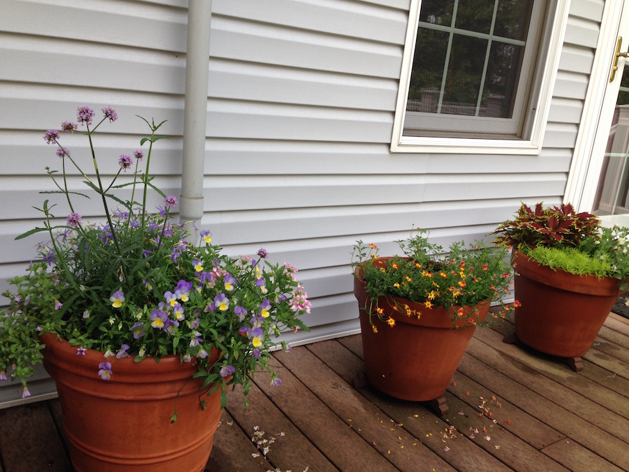 Kerry's Garden 2015 | Proven Winners