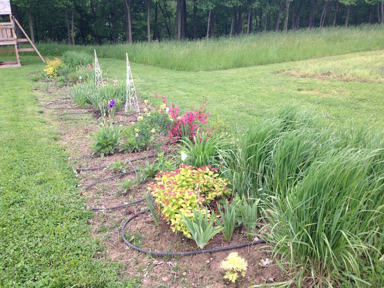 Kerry's Garden 2015 | Proven Winners