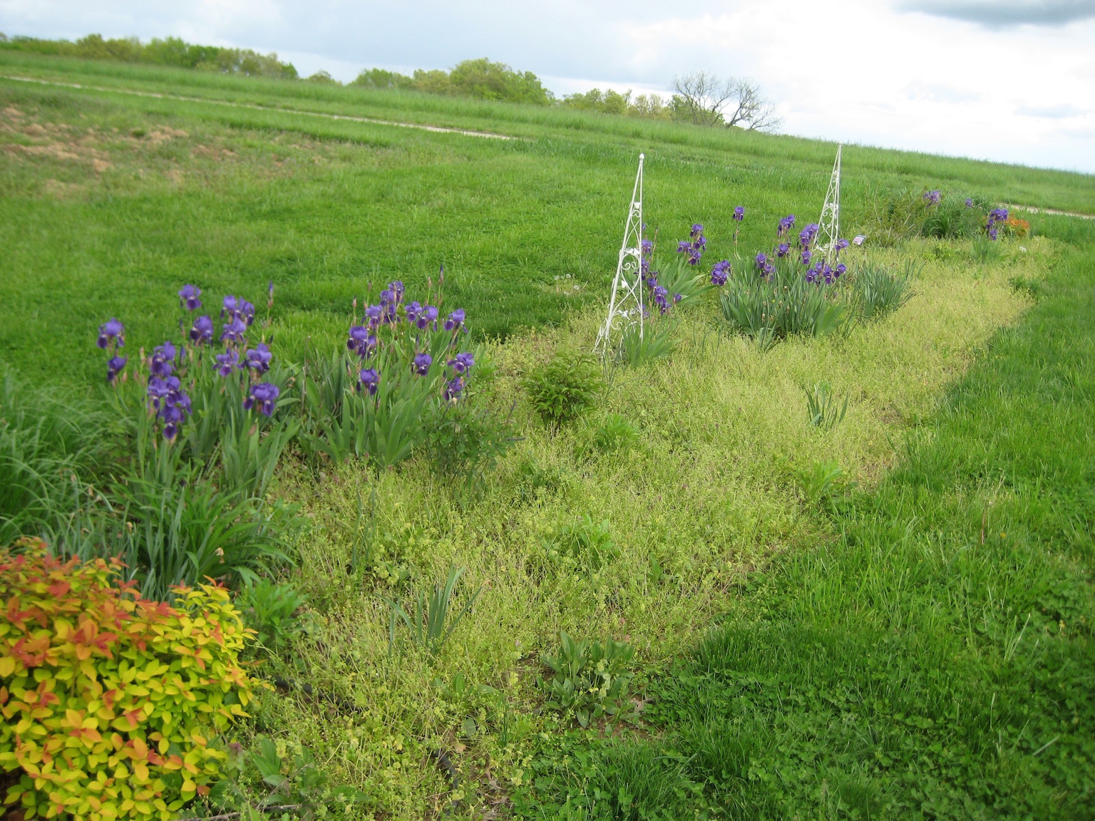 Kerry's Garden 2015 | Proven Winners